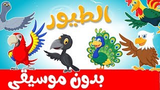 أنشودة الطيور بدون موسيقى قناة أسرتنا