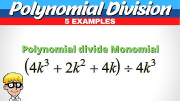 Polynomial Division Algebra 2