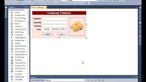 C# Tutorial For Beginners GUI Programming  Part 2