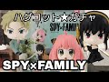 ハグコット《SPY×FAMILY》ガチャを回そうとしたら…⁉ハプニングを乗り越え、ファミリーコンプなるか〜?!