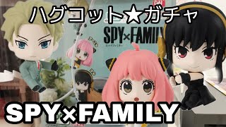 ハグコット《SPY×FAMILY》ガチャを回そうとしたら…⁉ハプニングを乗り越え、ファミリーコンプなるか〜?!