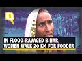 Bihar Elections |  No Money for Fodder; Women Walk 20 km for Grass