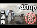 バス釣り　春の40up三連発！！　【ボツ特集】
