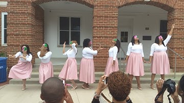 Spring 2018 New Member Presentation - Alpha Kappa Alpha Sorority, Inc. - Lambda Delta