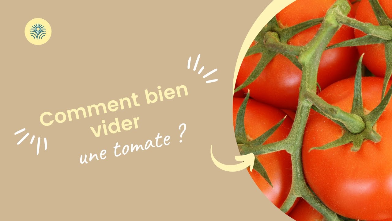 Comment bien évider une tomate ? - YouTube