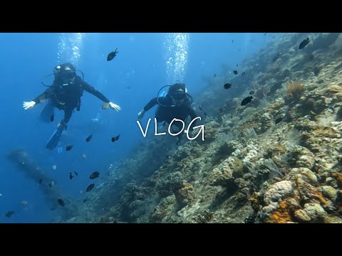 VLOG. 015 | 발리 | PADI Openwater 스쿠버다이빙 자격증 따기