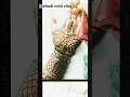 Eid special mehndi design 🥰🥰#mehndi #minivlog #trending #shorts #henna #viral#viralshorts