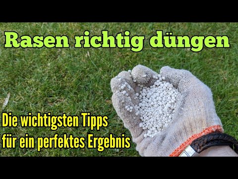 Video: Arten von Rasendünger: Was ist der beste Rasendünger für Gras?