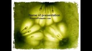 Free Microscopic Section PowerPoint Template by PoweredTemplate.com