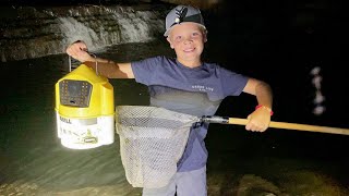 Caching Live Bait at Night to Feed Pet Bass!