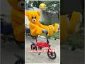 #funny #teddybear #fun #teddy #funnyshorts #cat #animaldance #catdance #cute #comedy #cat #catvideos
