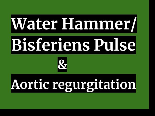 Water Hammer Bisferiens Pulse Aortic Regurgitation Youtube