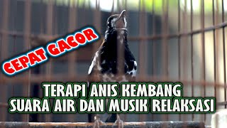 TERAPI ANIS KEMBANG, SUARA AIR DAN MUSIK RELAKSASI