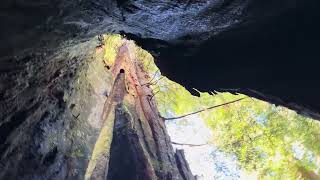 Download Lagu One life with many reiterations.  MP3