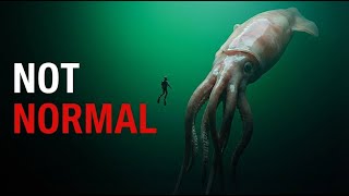 Why This Deep Sea Creature Breaks Every Rule | Giant Squid