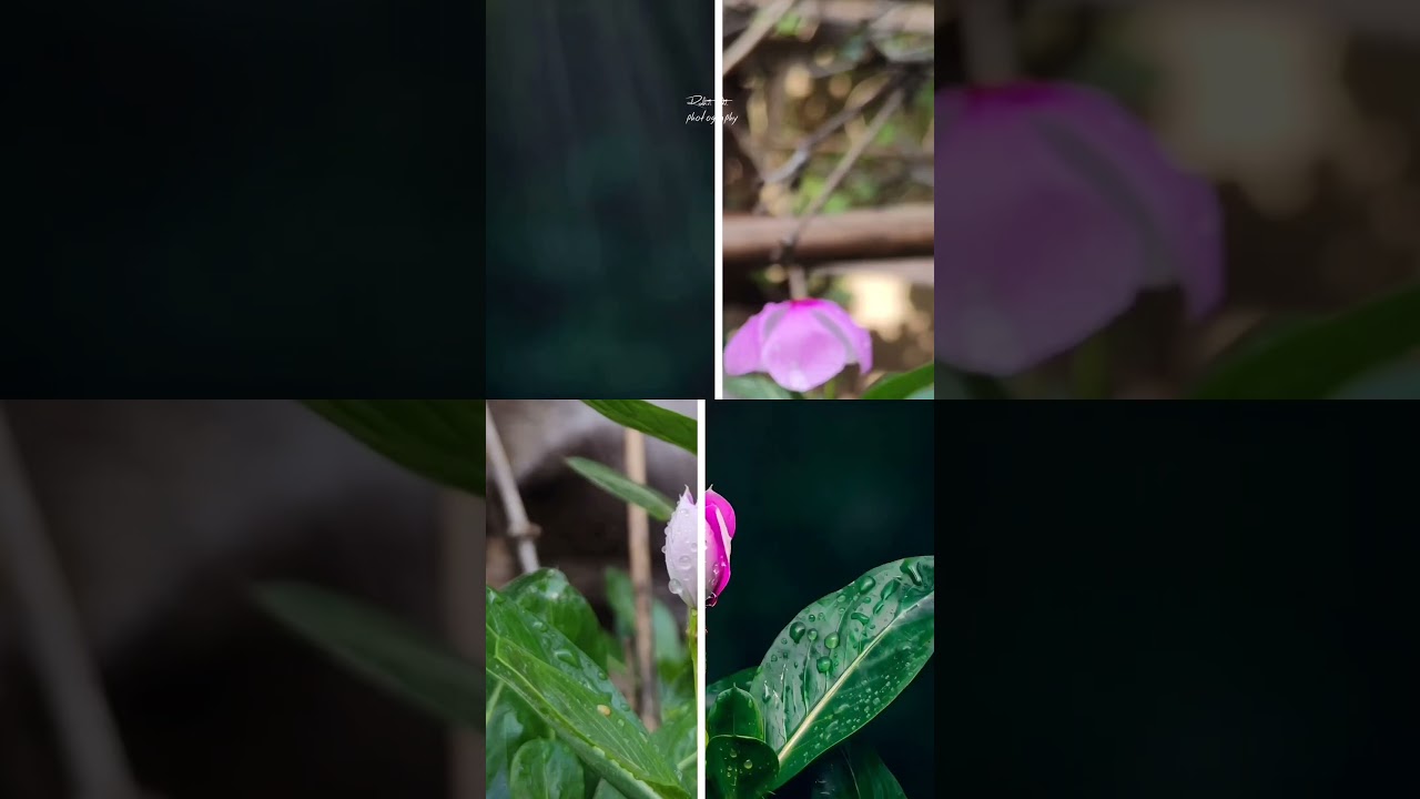 photo editing videos ☺️// 