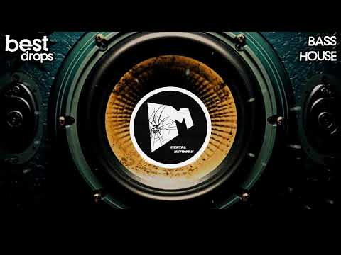 Best Bass House Drops | July 2026