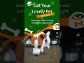 Pet shop Instagram Story Template