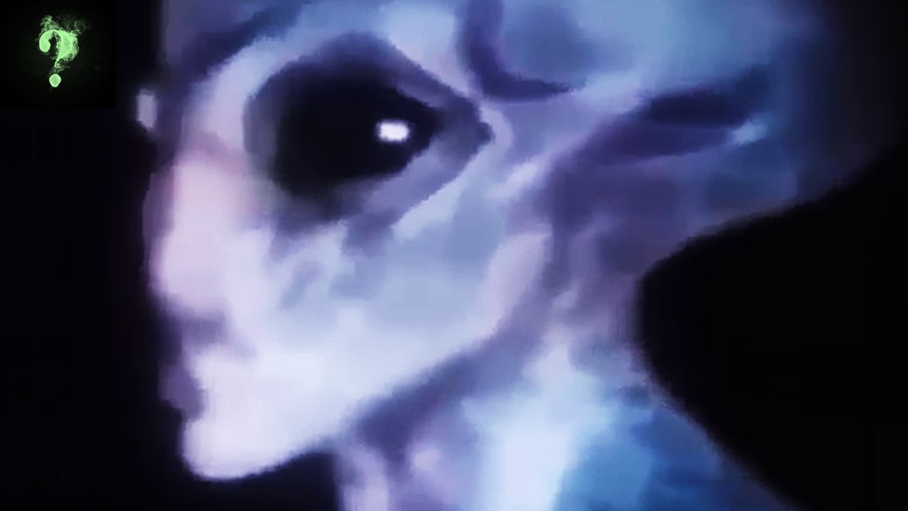 Thumbnail for The Miami "Firework Incident" Cover-Up Exposed