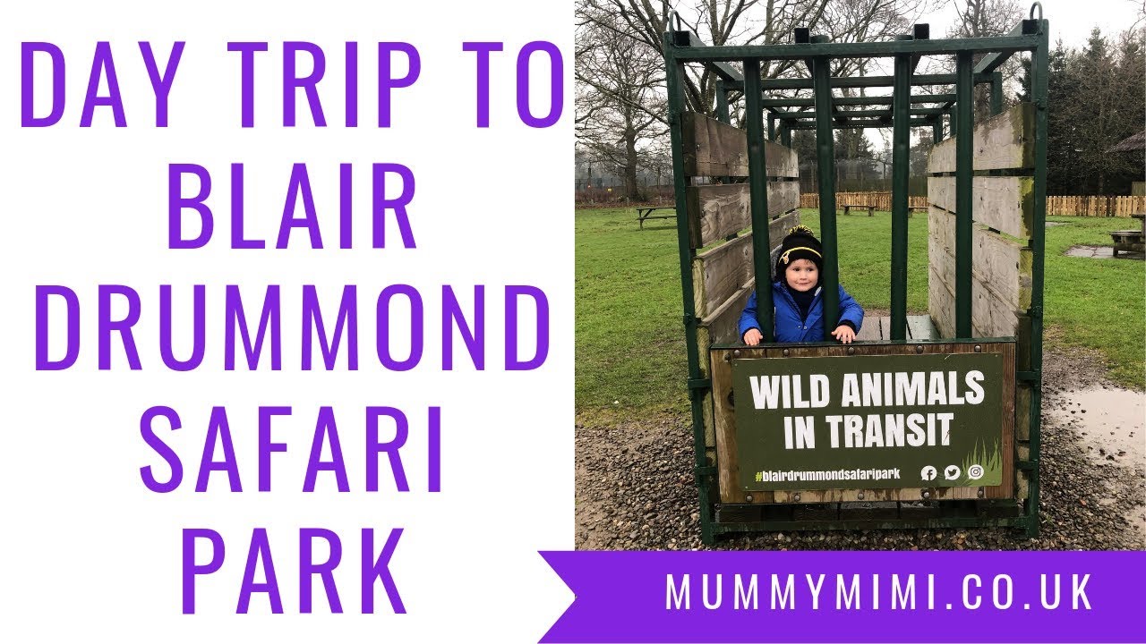 blair drummond safari park gift card