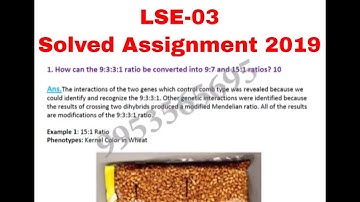 IGNOU LSE-03 solved assignment 2019