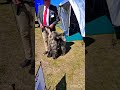 they want to fighting 🐕🐕🤣