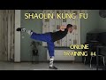 Shaolin Kung Fu - Online Training #4