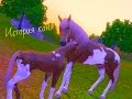 Дикие лошади(история лошади) часть 1