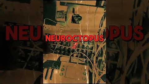 NeUroCTOPUS 🦑