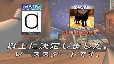 Taking first place on Scud race.... With a Cat?!