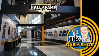 DK s Daily Shot of Penguins Momentary heroes