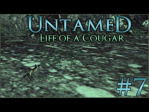 Cougar Cub in the Night || Untamed: Life of a Cougar - Episode #7