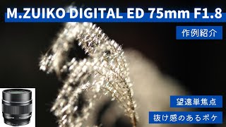 レンズ(単焦点) M.ZUIKO DIGITAL ED 75mm F1.8 Amazon.co.jp: OM SYSTEM/オリンパスOLYMPUS 単焦点レンズ M