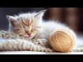 Musique apaisante pour chats anxieux  musique de chat pour une relaxation profonde et un sommeil