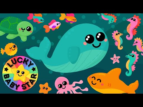 🐳 Colourful Under
