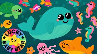 🐳 Baby’s First Under the Sea Adventure for Toddlers & Babies🐬🐡 by Lucky Baby Star - sensory video fun! 🌟 108,683 views 3 months ago 16 minutes