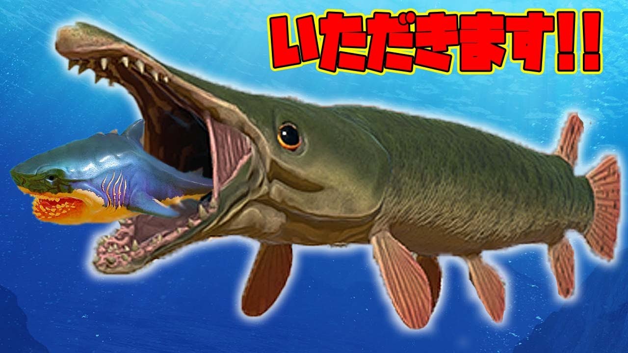 アリゲイターガーゾンビの生身バージョンで巨大サメと戦ってみたけどやっぱ強すぎ!!【Feed and Grow Fish】