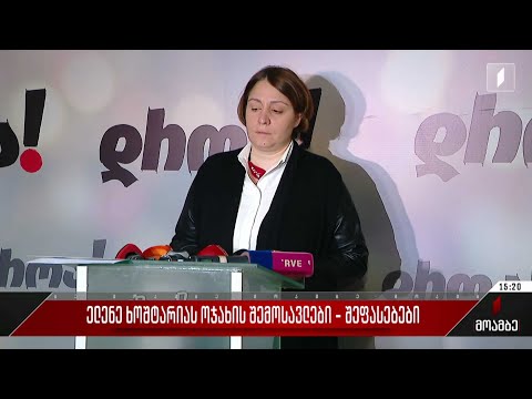 ელენე ხოშტარაის ოჯახის შემოსავლები - შეფასებები პოლიტიკურ სპექტრში