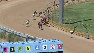 Gawler-22022019-Race-10