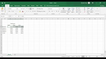 Format cells with merge & center, cell styles, and themes