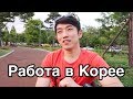 Кем работает Коля в Корее? Прогулка и шопинг в Корее