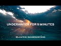 5 minutes underwater relaxation  background