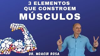 3 Elements That Build Muscles || Dr. Moacir Rosa
