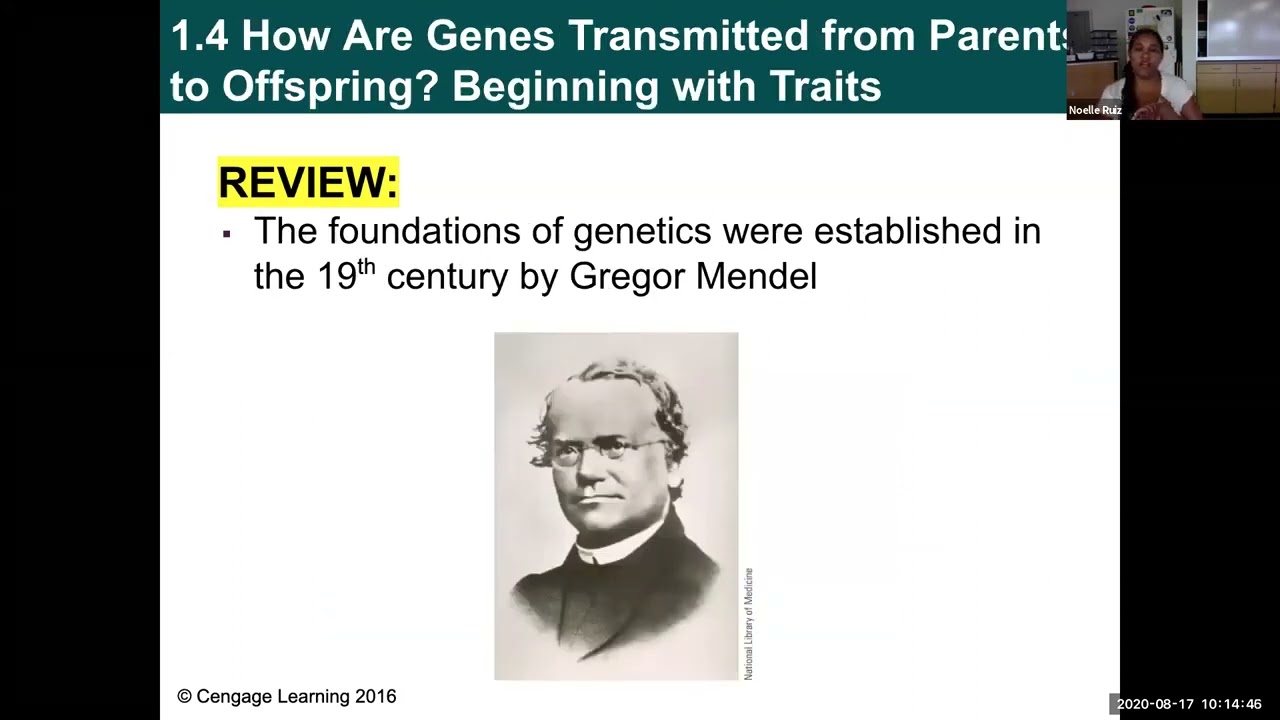 Bio134: Ch.1: A Perspective on Human Genetics