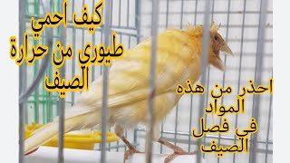 مع ارتفاع حرارة الصيف ماذا أقدم لطيوري كي احميها من الامراض