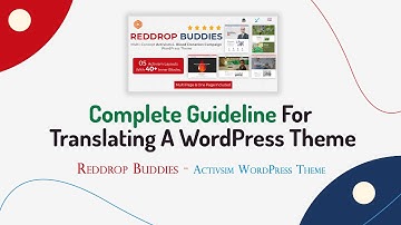 Complete Guideline For Translating A WordPress Theme | Reddrop Buddies