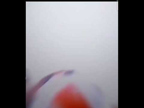 كارلوس يقفل ملف النصر