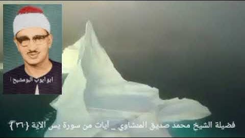 سبحان الذي خلق الأزواج كلها _سورة يس  { ٢٦ } الشيخ المنشاوي