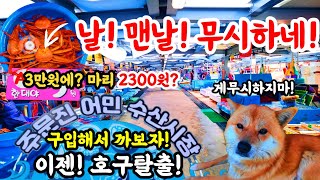 주문진어민어시장@날 맨날 무시하네!  3만원에 준다고? 게무시하지마! 휴가철 다가온다! 정말 사도 될까? #수산물 #주문진수산시장  #주문진 #속초수산시장 #휴가 #바가지 by 워커제이WALKER.J 3,461 views 18 hours ago 11 minutes, 58 seconds