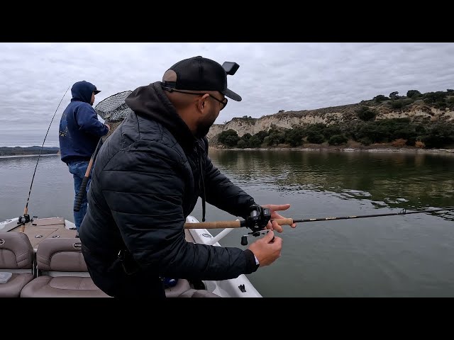 New Year New Gear- Trolling for trout effectively with 4 rods. Cachuma Lake  CA 
